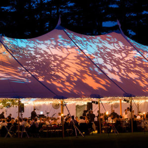 tents
