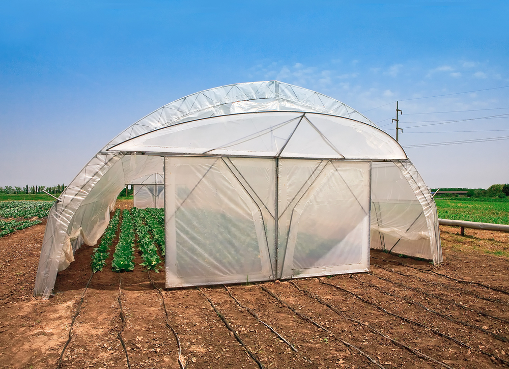 a tent being used to protect crops on a farm
