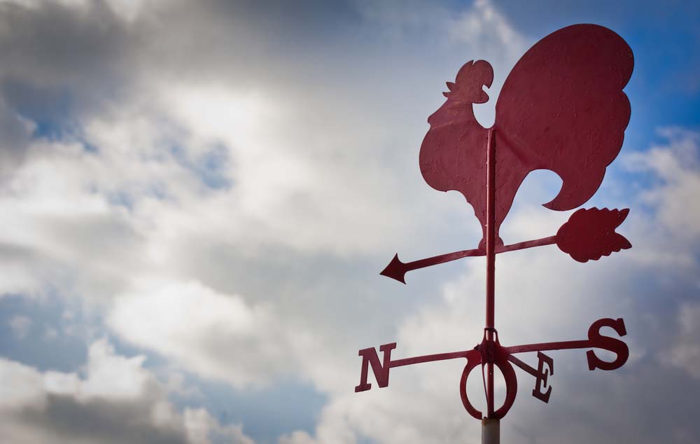 a weather vane moving in the wind