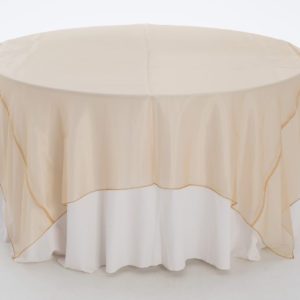 Antique Gold Organza
