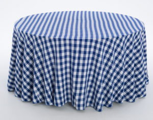 Blue & White Checker