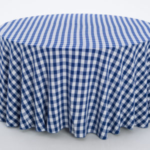 Blue & White Checker
