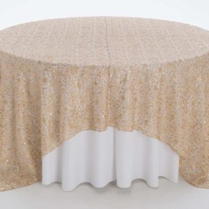 Champagne Chain Link Textured Sheer Overlay