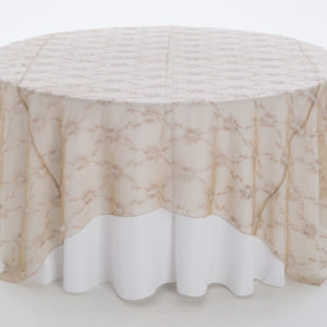 Champagne Embroidered Sheer Overlay