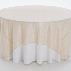 Champagne Garden Lace Overlay