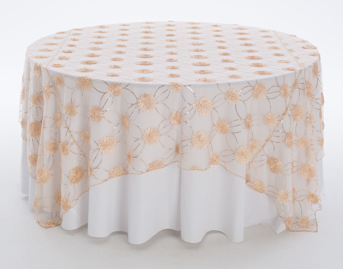 Champagne Mist Sheer With Sequins Overlay