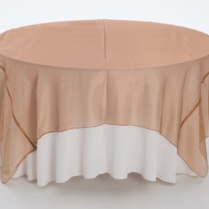 Copper Organza