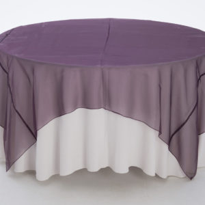 Eggplant Organza