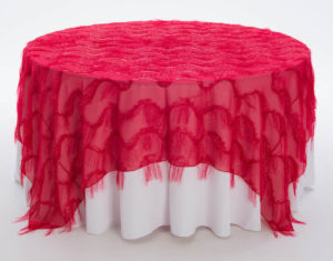 Lollipop Gatsby Textured Sheer Overlay