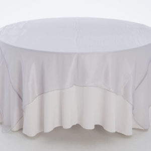 Silver Organza