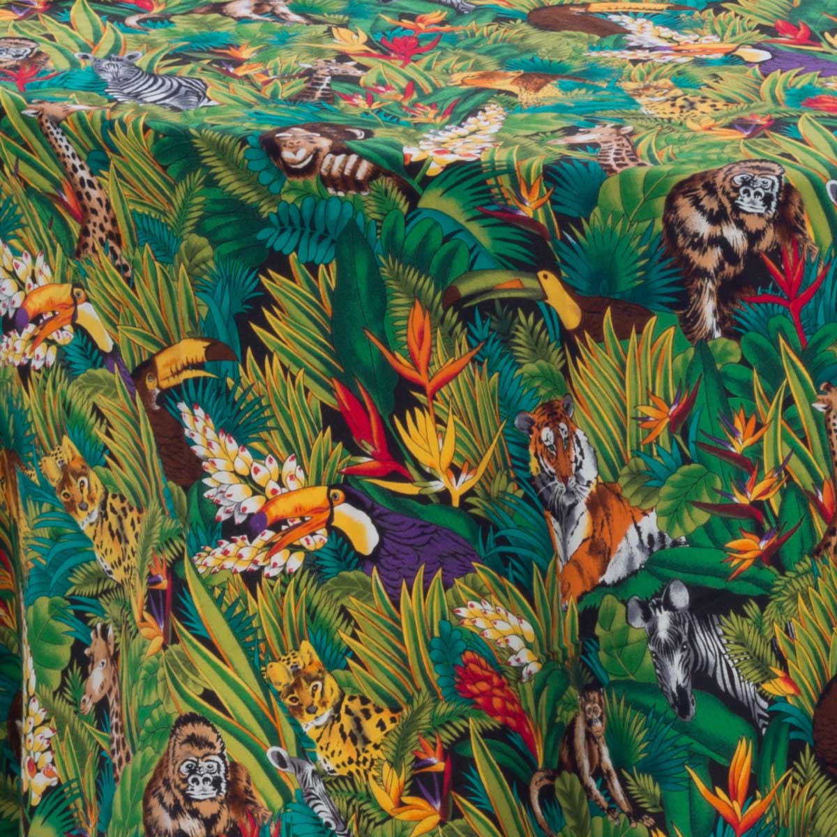 Wild Zoo Prints - Image 3