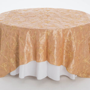 Champagne Embroidered Sequins Taffeta Overlay